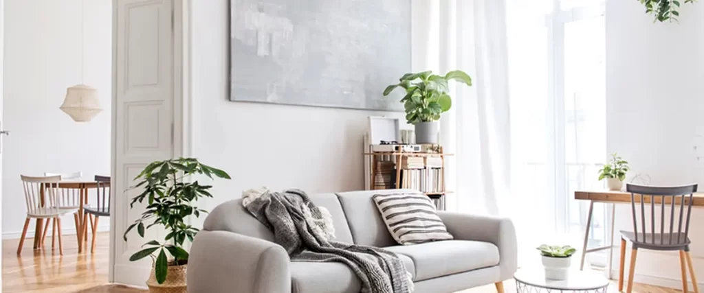 bright modern living room with gray sofa hardwood floors stylish decor plants